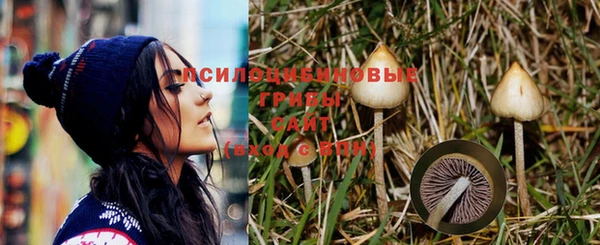 молекула духа Нея