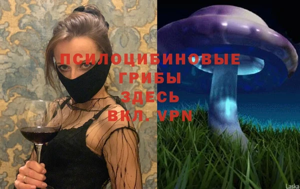 спайс Алексин